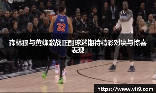 森林狼与黄蜂激战正酣球迷期待精彩对决与惊喜表现