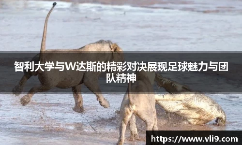 bwin必赢官方网站