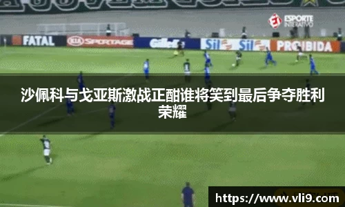 bwin必赢官网